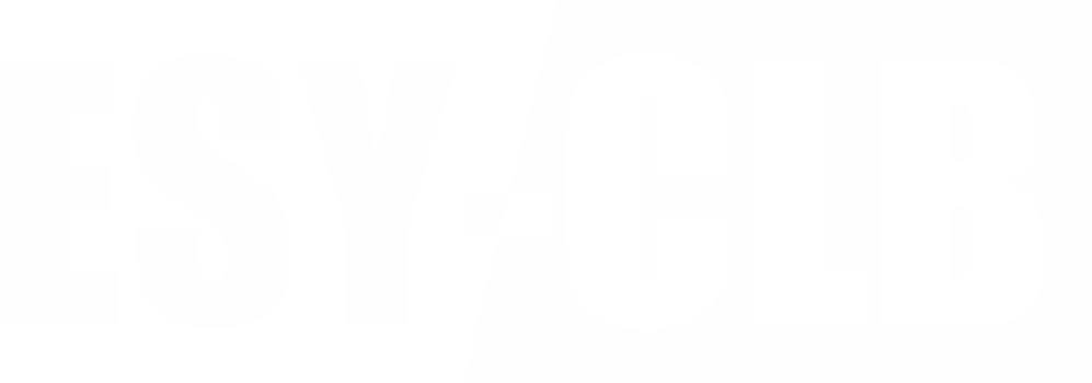THE ESSAY CLUB