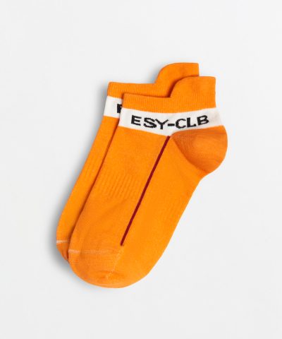 Low cut [DERAKHT E PORTEGHAL]