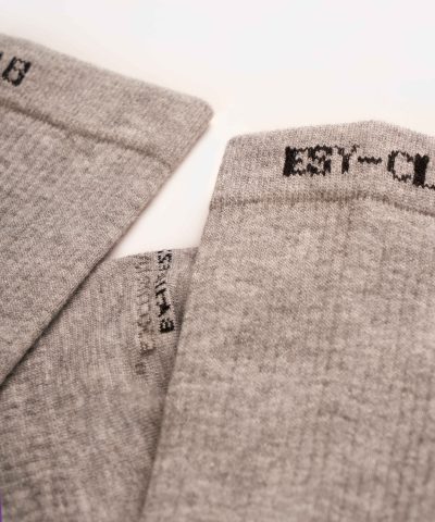 Alternative view of ESY Core [URBAN ASH]